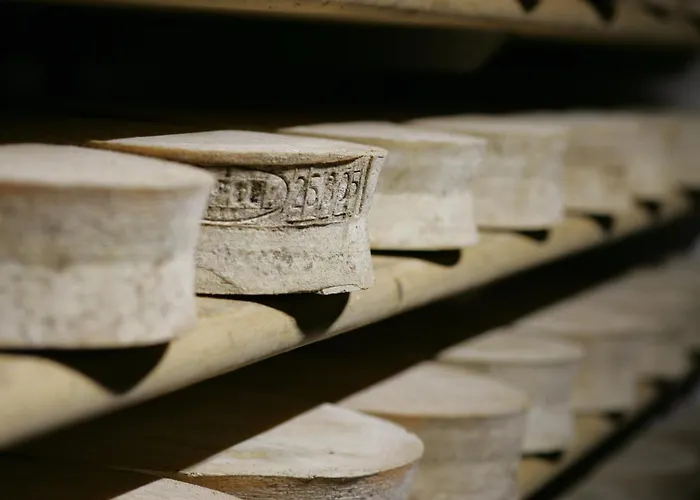 Casa vacanze: Agriturismo Rini